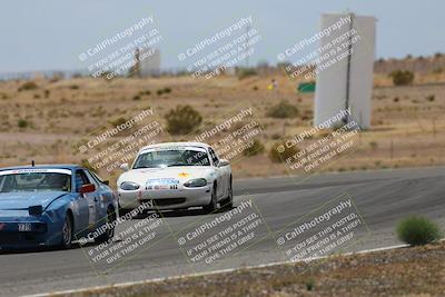 media/May-03-2025-Lucky Dog Racing (Sat) [[206de64b9d]]/Turn 6 (150pm-230pm)/